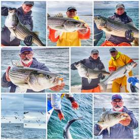 Montauk Report Photo 1