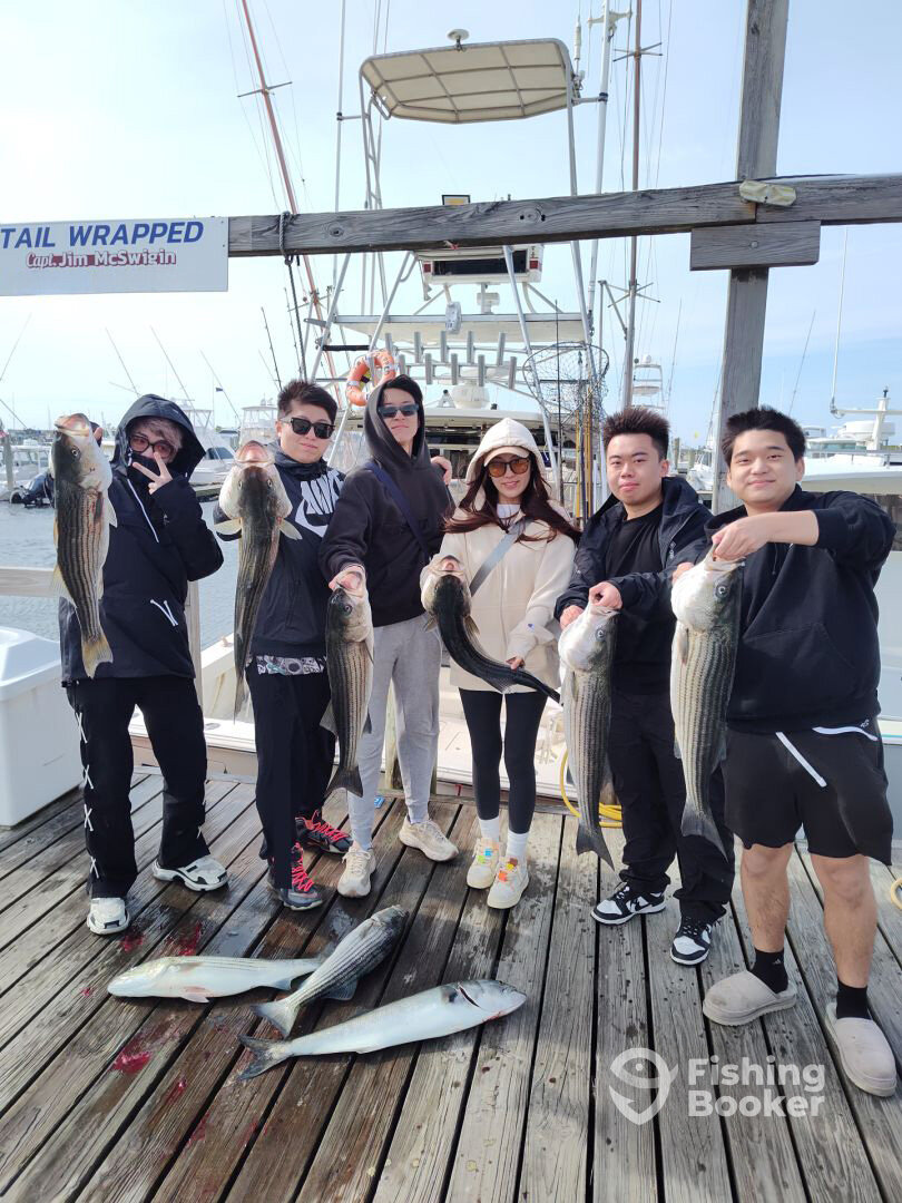 Montauk Report Photo 0