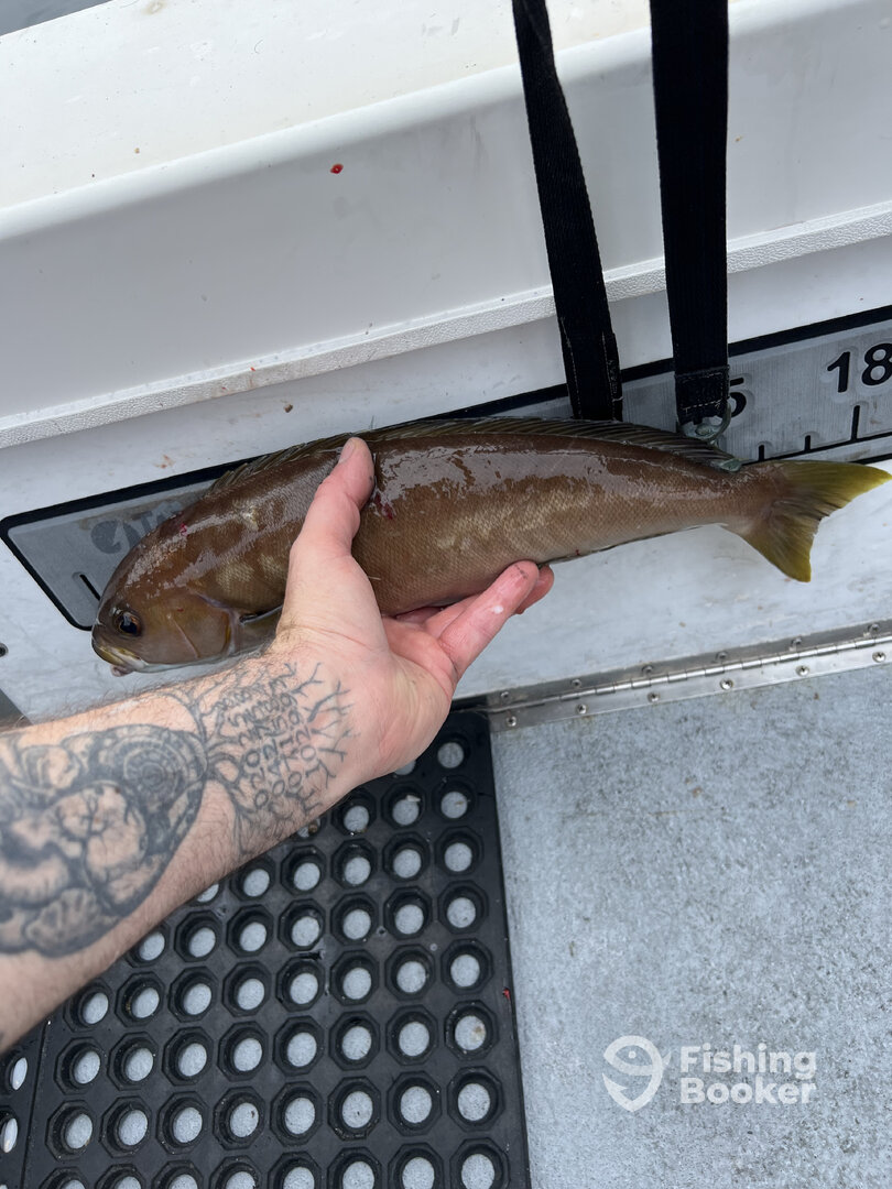 Los Angeles Report Photo 0