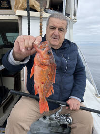 Los Angeles Report Photo 1