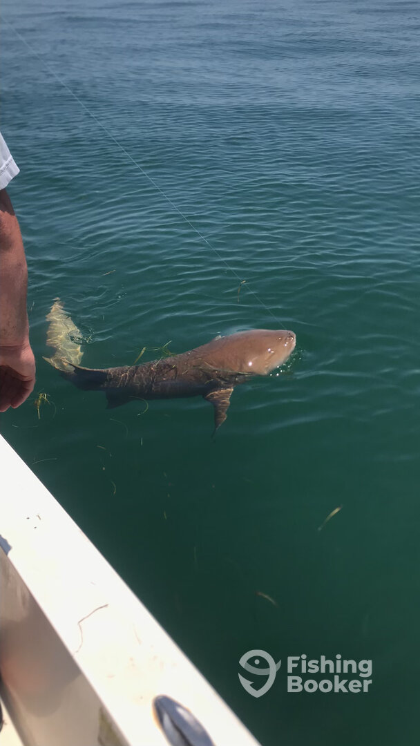 Crystal River Report Photo 0