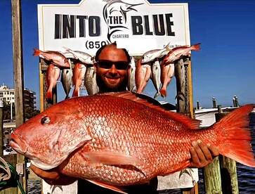 Destin Report Photo 1