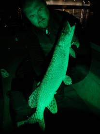 Disco style pike under the bridge ???