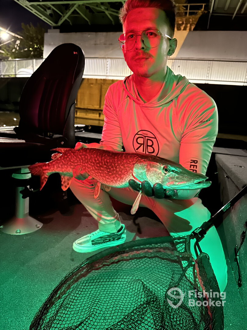 Budapest Report Photo 0