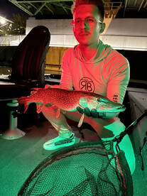 Pikes are all around under the bridges l