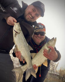 True asparade before the start of the sp