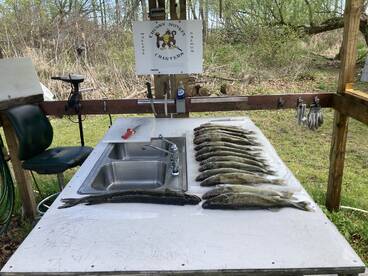 Linwood Report Photo 2