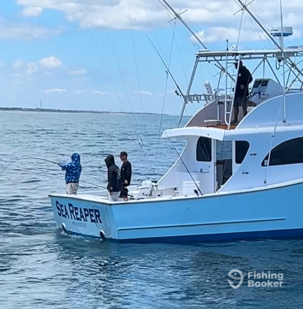 Wanchese Report Photo 0