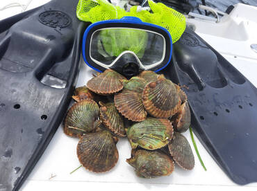 Perry Report Photo 1