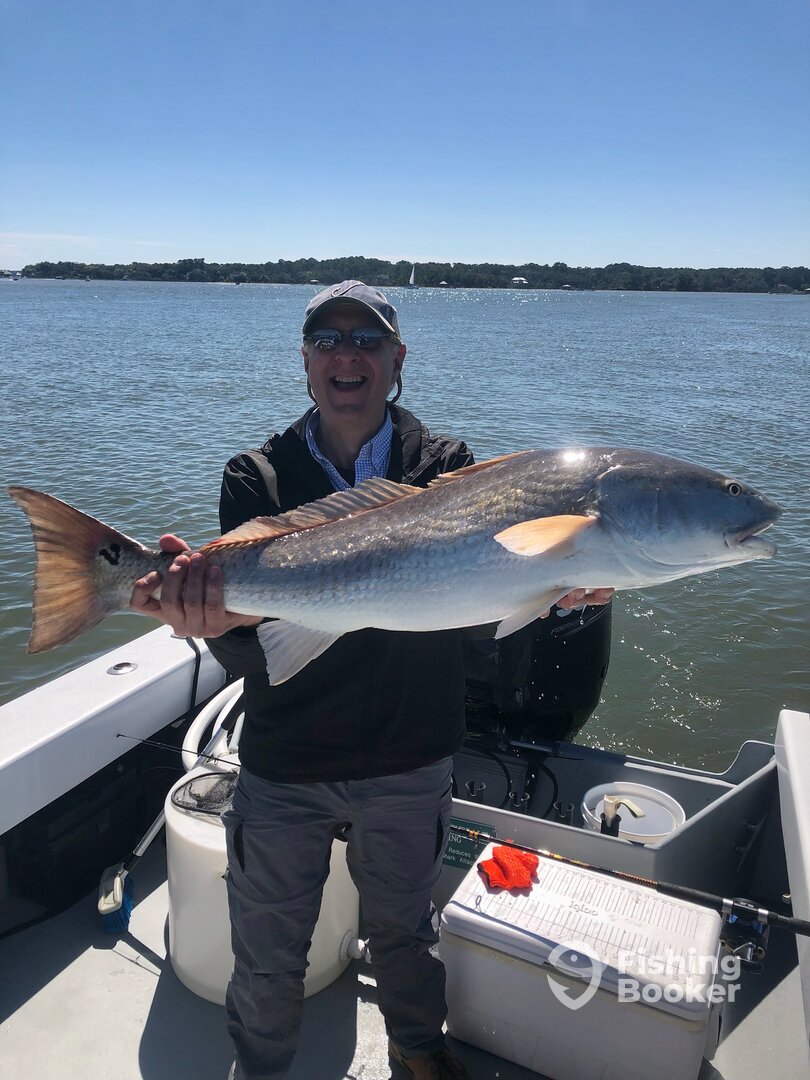 Hilton Head Island Report Photo 0