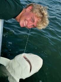 Hilton Head Island Report Photo 1