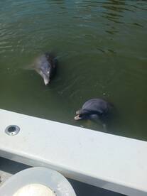 Hilton Head Island Report Photo 2