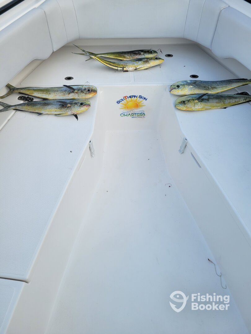 Marathon Report Photo 0