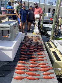 5 hour bottom fishing with Tide Up Chart