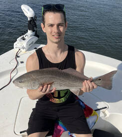 Newport Report Photo 2