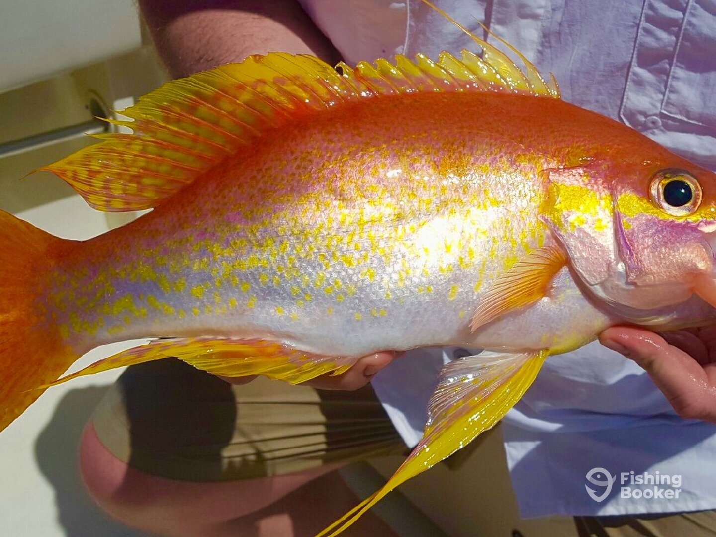 Orange Beach Report Photo 0