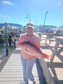 Panama City Report Photo 2