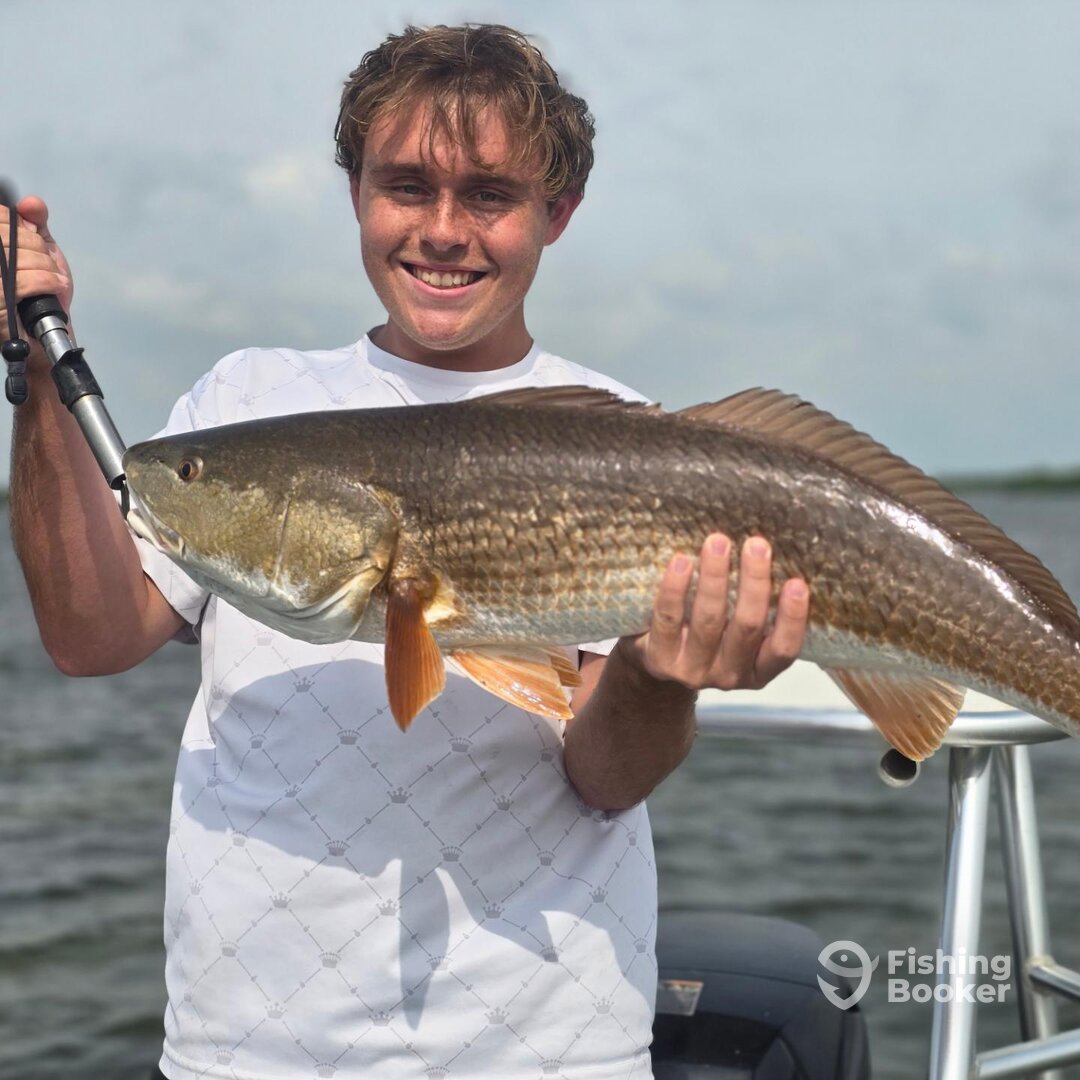 New Smyrna Beach Report Photo 0