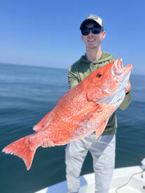 Jacksonville Report Photo 1