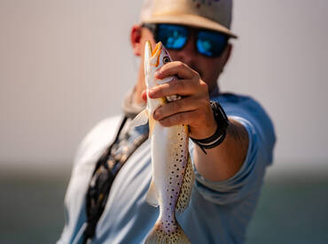 Apalachicola Report Photo 1