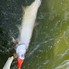 San Juan Report Photo 2