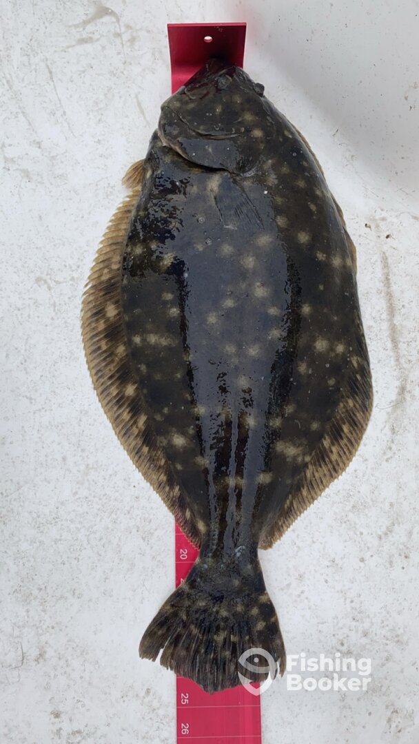 Carolina Beach Report Photo 0