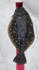 The bite is on fire!