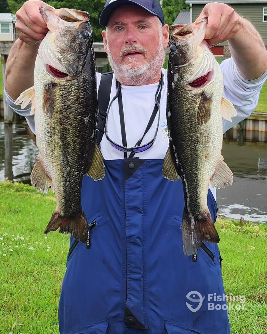 Kitty Hawk Report Photo 0