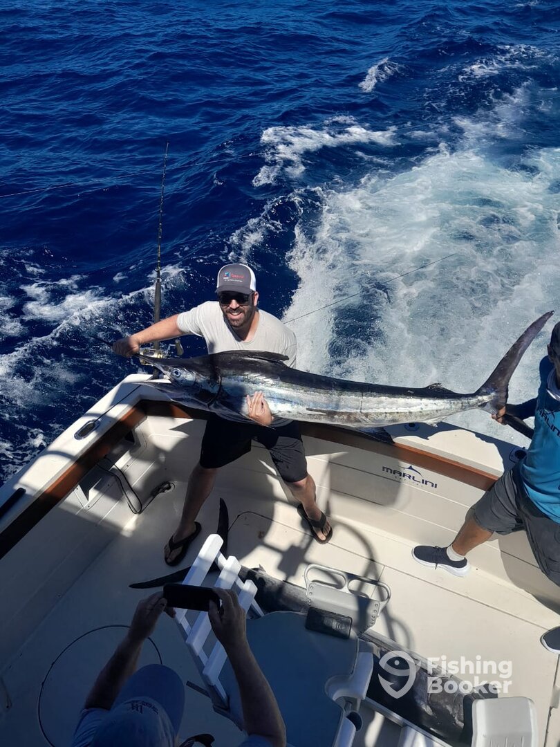 Cabo San Lucas Report Photo 0