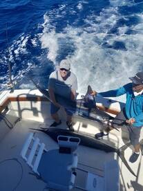 Cabo San Lucas Report Photo 1