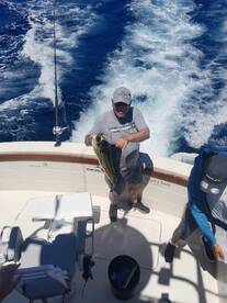 Cabo San Lucas Report Photo 2