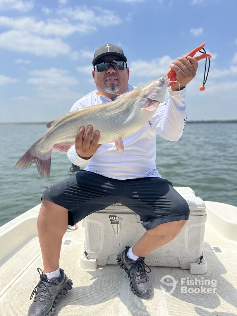 Elmendorf Report Photo 0