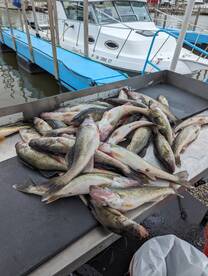 Port Clinton Report Photo 2