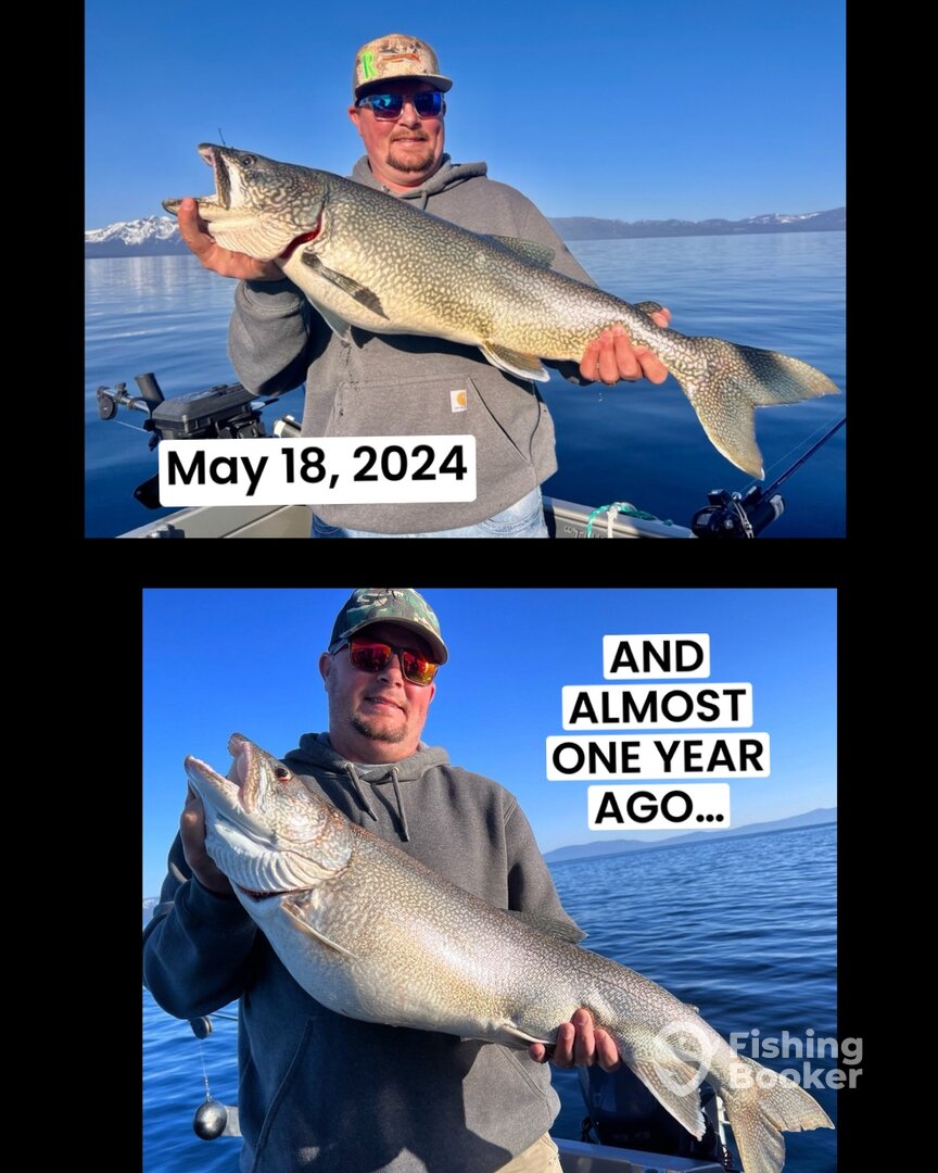 South Lake Tahoe Report Photo 0