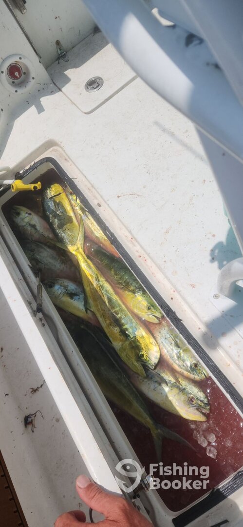 Marathon Report Photo 0