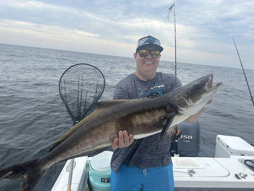 Full swing for Cobia!