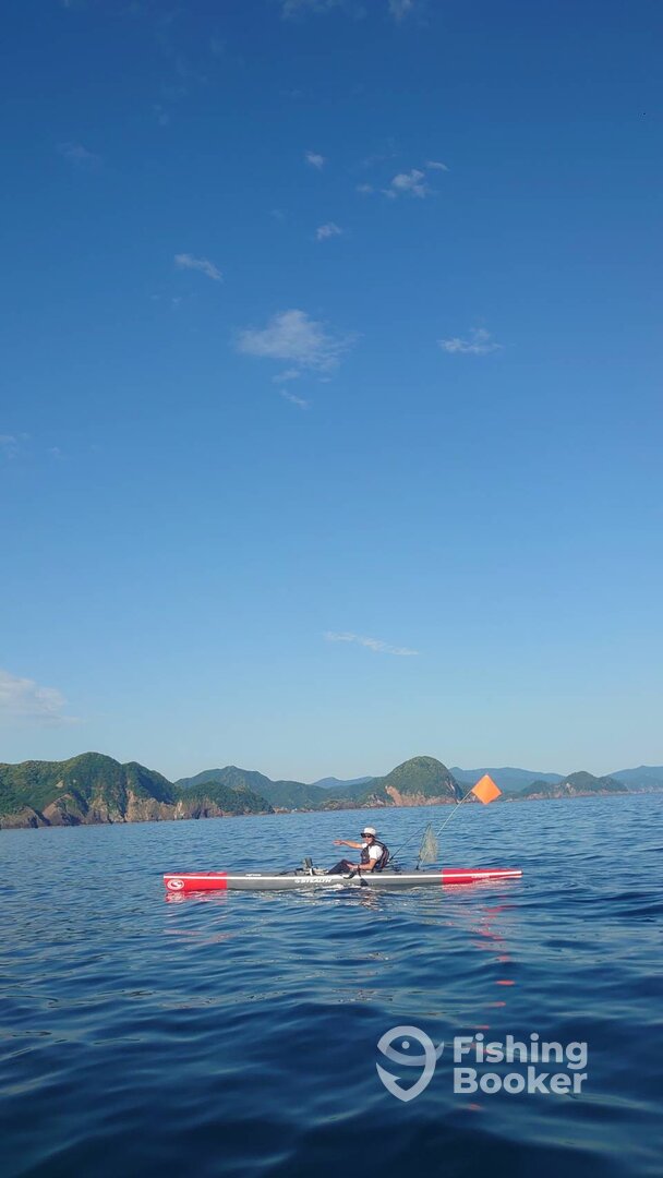 Sumoto Report Photo 0