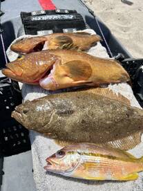 Japan Report Photo 3