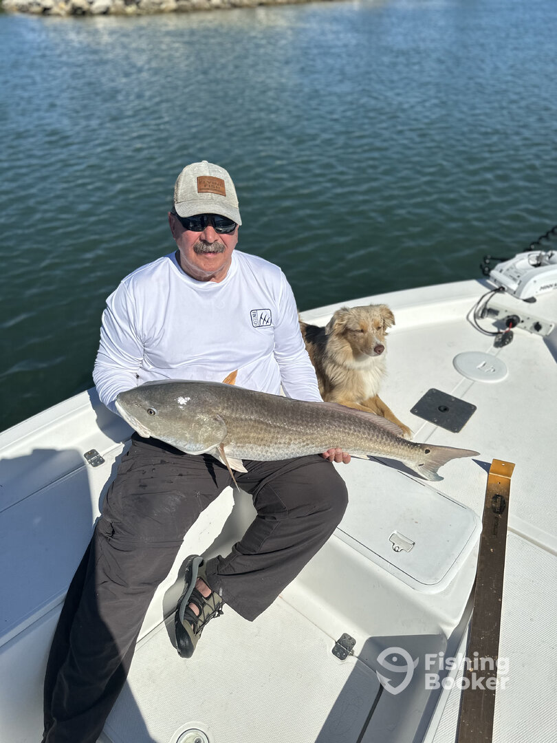 New Smyrna Beach Report Photo 0