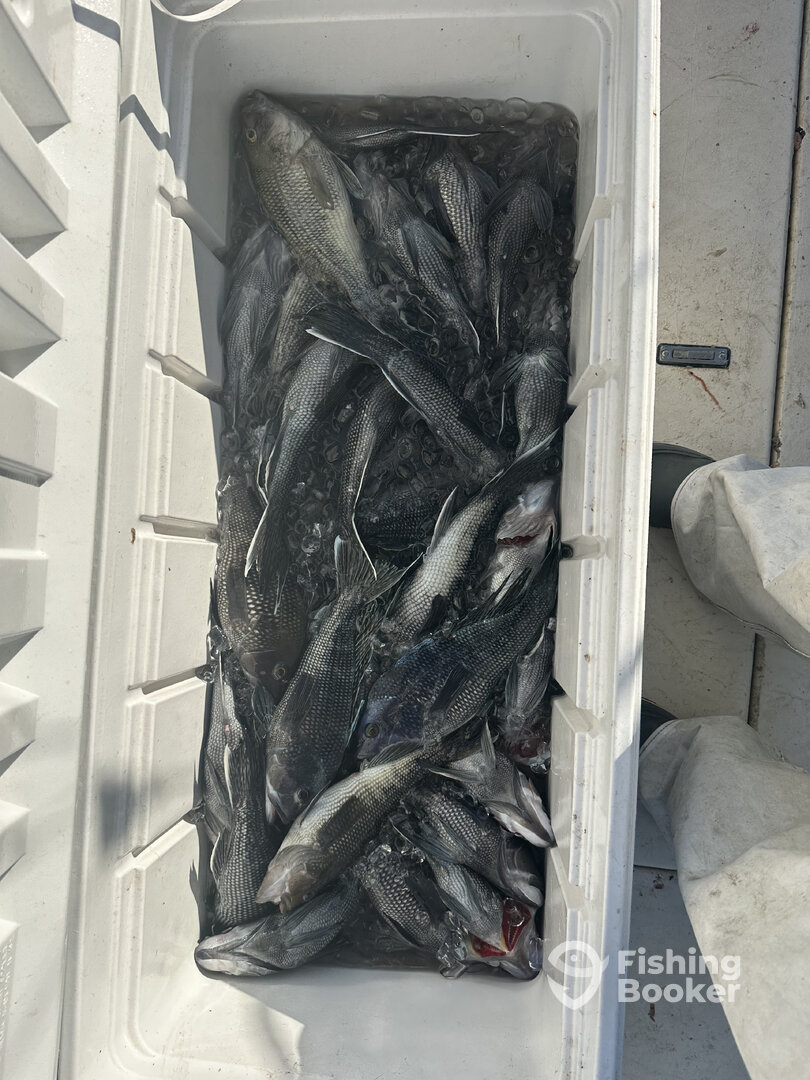 Cape May Report Photo 0