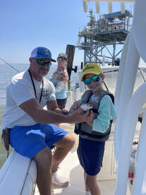 Gulf Shores Report Photo 1