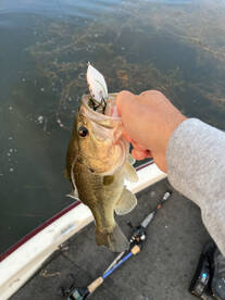 Foto Report Middle Valley 2