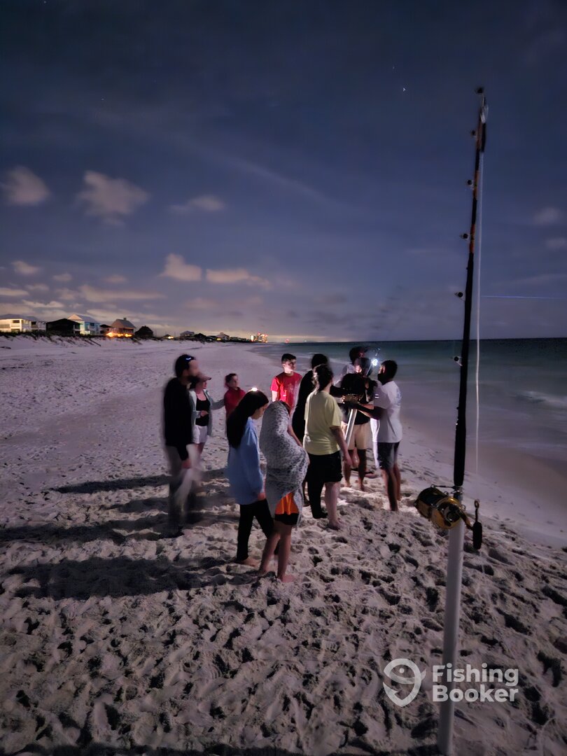 Navarre Report Photo 0