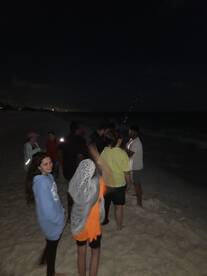 Navarre Report Photo 1