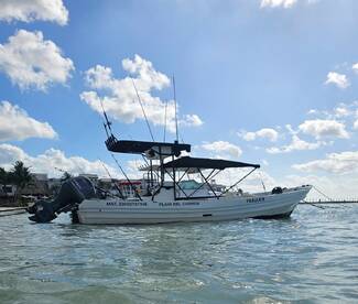 Playa Del Carmen Report Photo 1