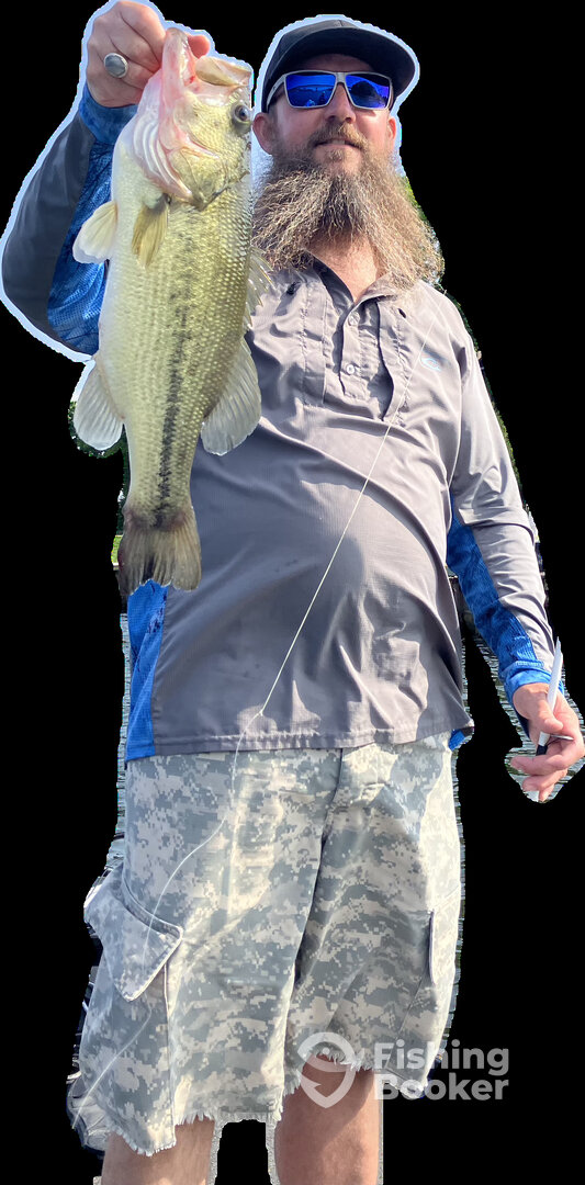 Hilton Report Photo 0