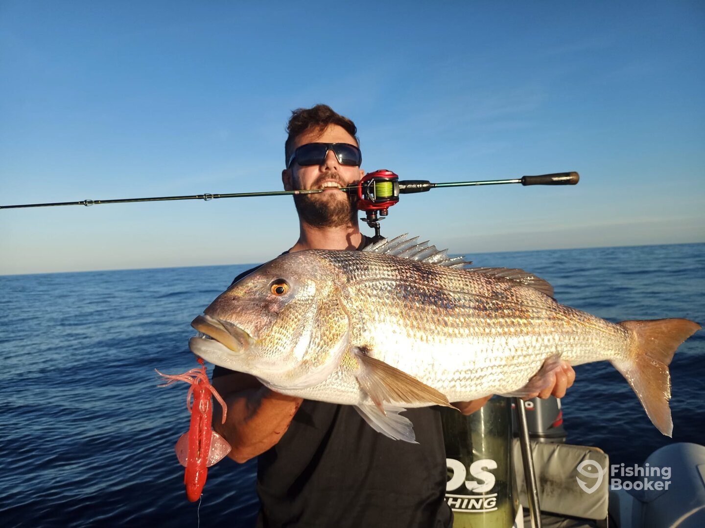 Alicante Report Photo 0