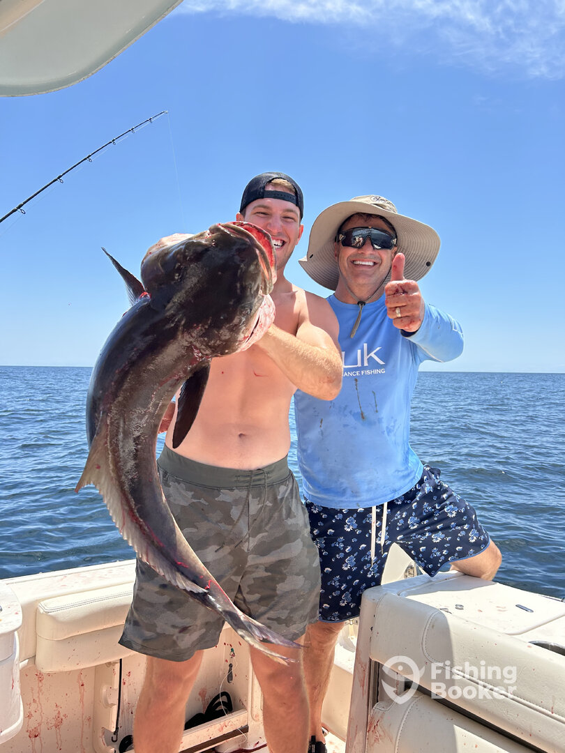 Hilton Head Island Report Photo 0