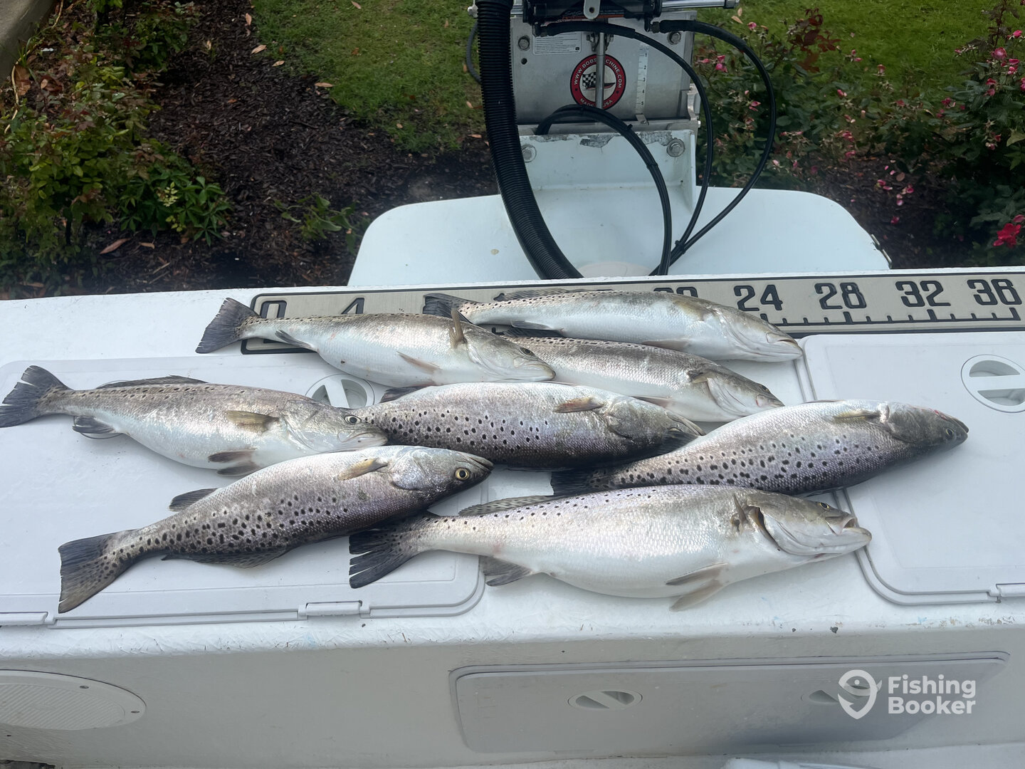 Manteo Report Photo 0