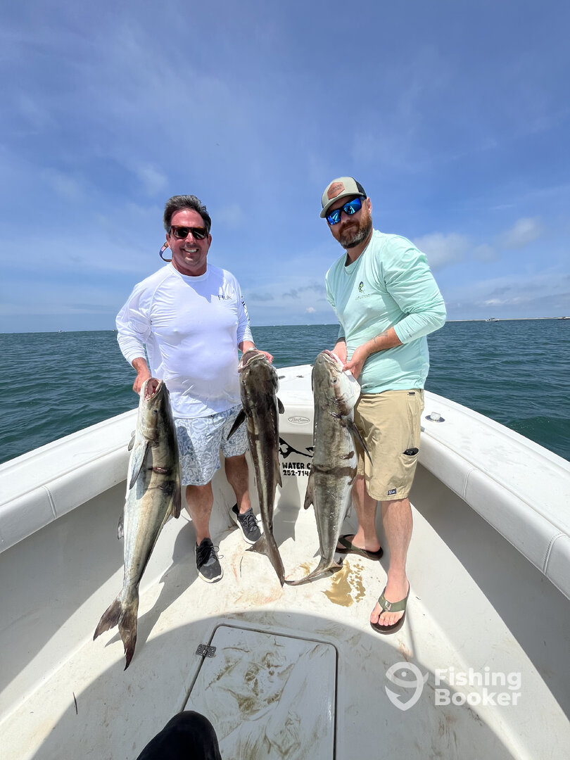 Beaufort Report Photo 0